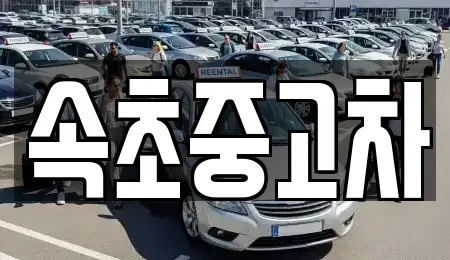 강원특별자치도 속초시 중고차 전문 속초중고차