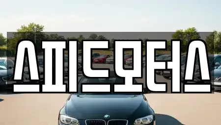 강원특별자치도 중고차 전문 스피드모터스