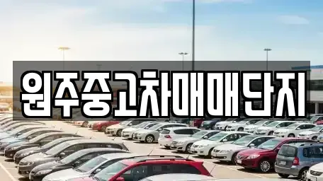 강원특별자치도 중고차 전문 원주중고차매매단지