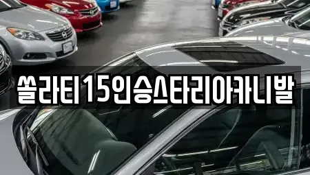 강원특별자치도 춘천시 남산면 렌트카 전문 쏠라티15인승스타리아카니발