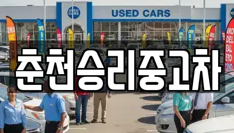 강원특별자치도 춘천시 남산면 중고차매매 전문 춘천승리중고차