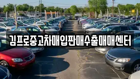 강원특별자치도 춘천시 남산면 중고차매입 전문 김프로중고차매입판매수출매매센터