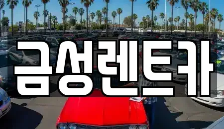 강원특별자치도 춘천시 칠전동 렌트카 전문 금성렌트카