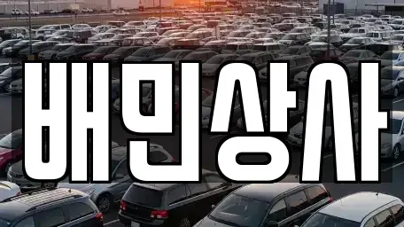 강원특별자치도 평창군 대관령면 중고차 전문 배민상사