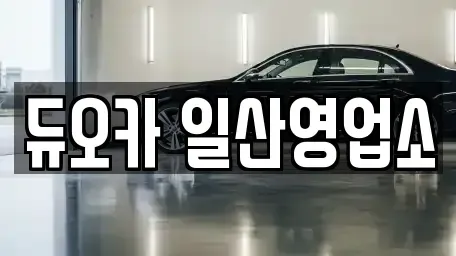 경기 고양시 덕양구 단기렌트카 전문 듀오카 일산영업소