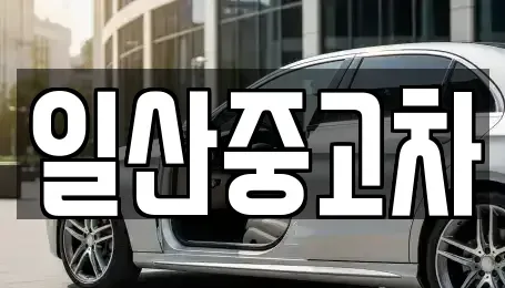 경기 고양시 덕양구 대자동 중고차 전문 일산중고차