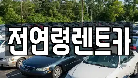 경기 고양시 덕양구 렌트카 전문 전연령렌트카