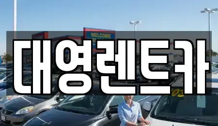 경기 고양시 덕양구 장기렌트카 전문 대영렌트카