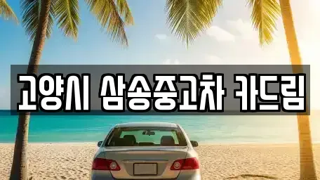 경기 고양시 덕양구 중고차매매 전문 고양시 삼송중고차 카드림