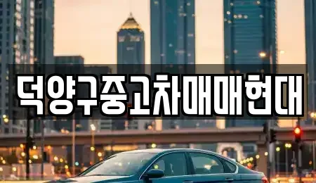 경기 고양시 덕양구 중고차매매 전문 덕양구중고차매매현대