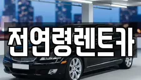 경기 고양시 덕양구 화정동 렌트카 전문 전연령렌트카