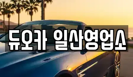 경기 고양시 덕양구 화정동 장기렌트카,중고차,렌트카,단기렌트카,중고차매입,중고차매매