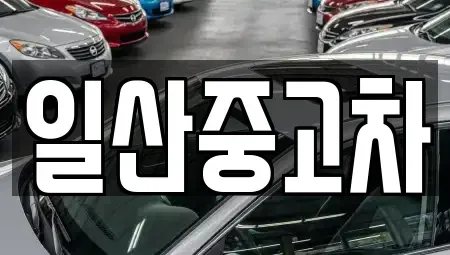 경기 고양시 덕양구 화정동 중고차 전문 일산중고차