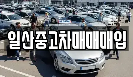경기 고양시 덕양구 화정동 중고차 전문 일산중고차매매매입