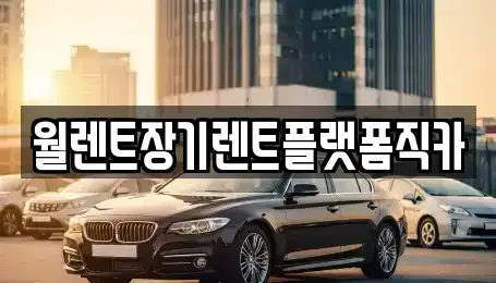 경기 광주시 태전동 장기렌트카 전문 월렌트장기렌트플랫폼직카
