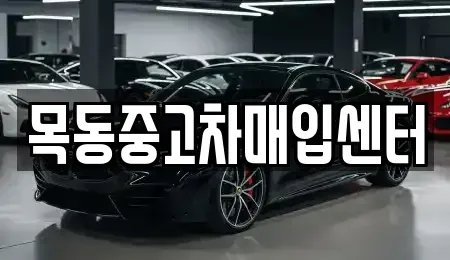 경기 군포시 산본동 중고차매입 전문 목동중고차매입센터
