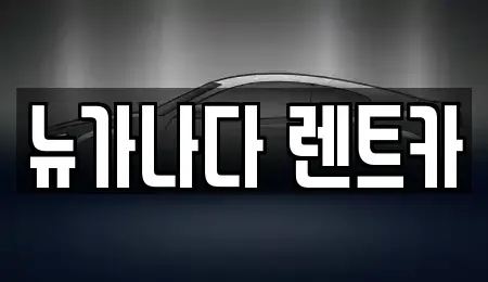 경기 김포시 장기동 렌트카 전문 뉴가나다 렌트카