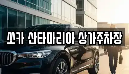 경기 김포시 장기동 장기렌트카 전문 쏘카 산타마리아 상가주차장