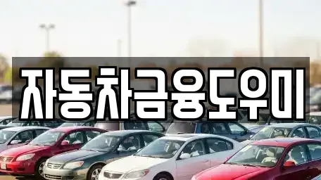 경기 김포시 장기동 장기렌트카 전문 자동차금융도우미