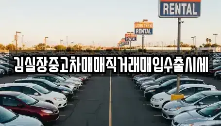 경기 김포시 장기동 중고차 전문 김실장중고차매매직거래매입수출시세