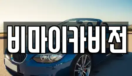 경기 성남시 수정구 둔전동 렌트카 전문 비마이카비전