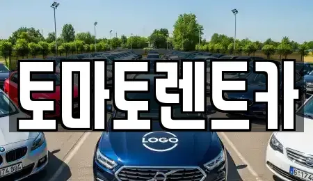 경기 성남시 수정구 둔전동 렌트카 전문 토마토렌트카