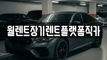 경기 성남시 수정구 둔전동 장기렌트카 전문 월렌트장기렌트플랫폼직카
