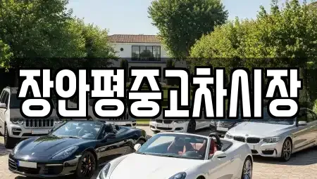경기 성남시 수정구 둔전동 중고차매매 전문 장안평중고차시장