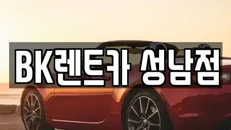경기 성남시 중원구 성남동 장기렌트카 전문 BK렌트카 성남점