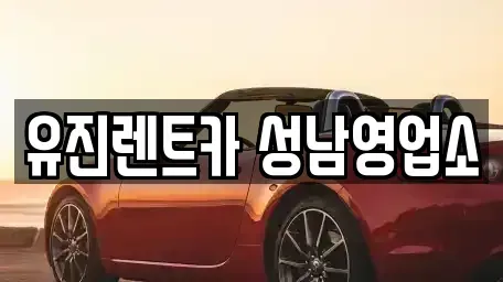경기 성남시 중원구 성남동 장기렌트카 전문 유진렌트카 성남영업소
