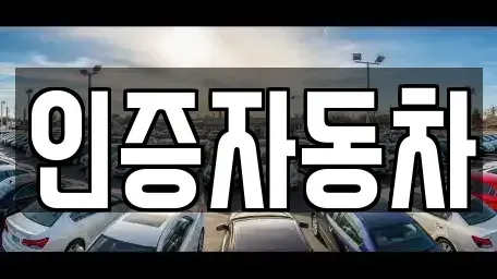 경기 성남시 중원구 성남동 중고차 전문 인증자동차