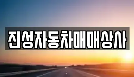 경기 성남시 중원구 성남동 중고차 전문 진성자동차매매상사