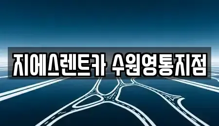 경기 수원시 영통구 영통동 렌트카 전문 지에스렌트카 수원영통지점