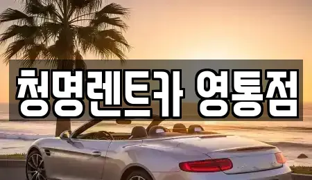 경기 수원시 영통구 영통동 렌트카 전문 청명렌트카 영통점