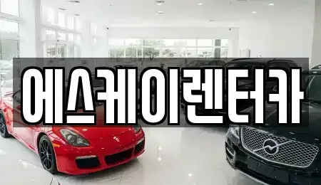 경기 수원시 영통구 영통동 장기렌트카 전문 에스케이렌터카