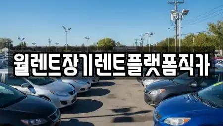 경기 수원시 영통구 영통동 장기렌트카 전문 월렌트장기렌트플랫폼직카