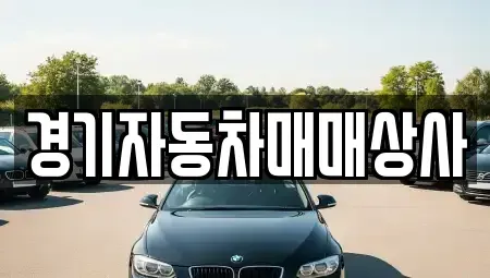 경기 수원시 영통구 영통동 중고차 전문 경기자동차매매상사