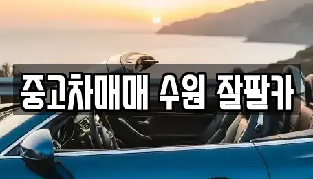 경기 수원시 영통구 영통동 중고차,렌트카,중고차매입,중고차매매,장기렌트카,단기렌트카