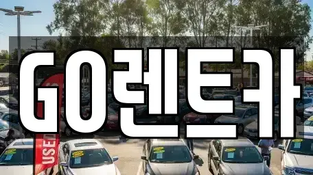 경기 수원시 영통구 원천동 렌트카 전문 GO렌트카