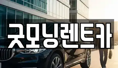 경기 수원시 영통구 원천동 렌트카 전문 굿모닝렌트카