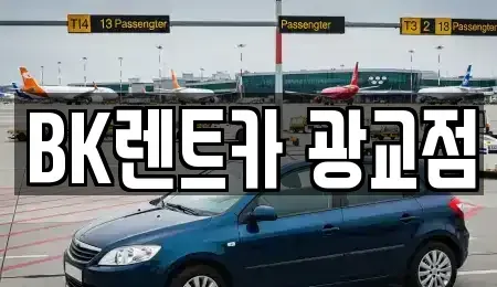 경기 수원시 영통구 원천동 장기렌트카 전문 BK렌트카 광교점