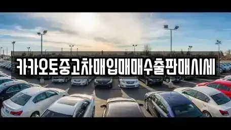 경기 수원시 영통구 원천동 중고차매입 전문 카카오토중고차매입매매수출판매시세