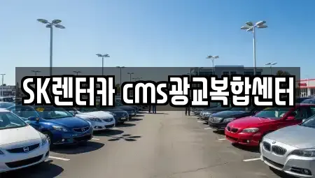 경기 수원시 영통구 이의동 렌트카 전문 SK렌터카 cms광교복합센터