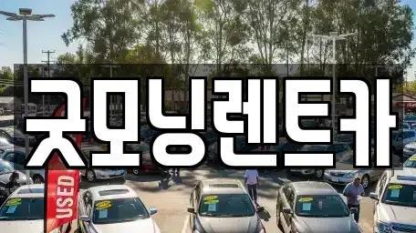 경기 수원시 영통구 이의동 렌트카 전문 굿모닝렌트카