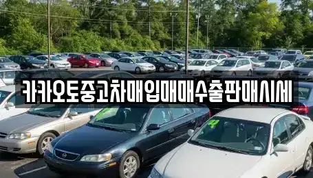 경기 수원시 영통구 이의동 중고차매입 전문 카카오토중고차매입매매수출판매시세