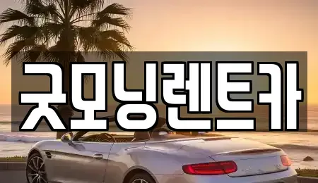 경기 수원시 영통구 하동 렌트카 전문 굿모닝렌트카