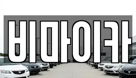 경기 수원시 영통구 하동 렌트카 전문 비마이카