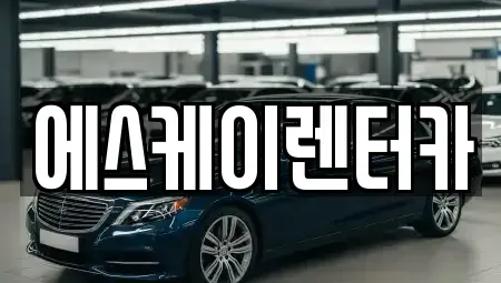 경기 수원시 영통구 하동 장기렌트카 전문 에스케이렌터카