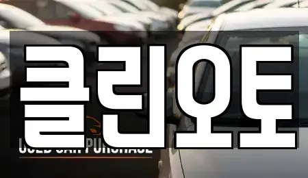 경기 수원시 영통구 하동 중고차 전문 클린오토