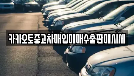 경기 수원시 영통구 하동 중고차매입 전문 카카오토중고차매입매매수출판매시세